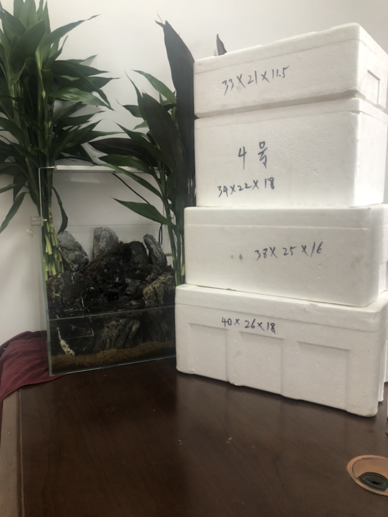 泡沫箱邮政3号4号5号6号蔬菜箱海鲜箱2号