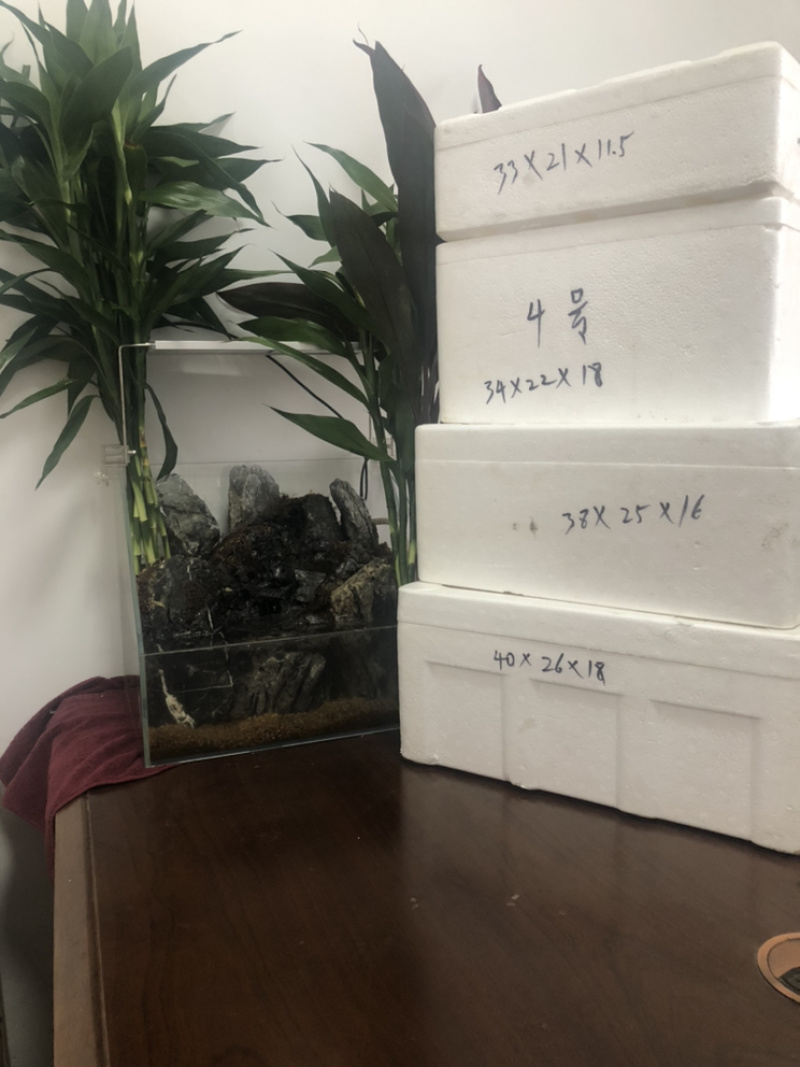 泡沫箱邮政3号4号5号6号蔬菜箱海鲜箱2号