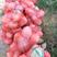 香芋南瓜秋季红沙土山地种植