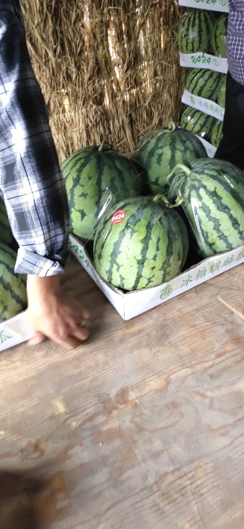精品西瓜