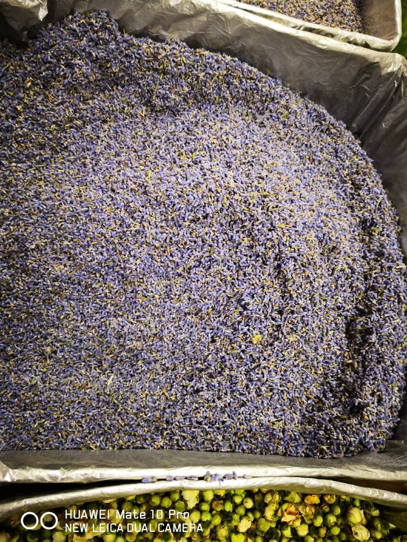 薰衣草新疆一级干货2斤起包邮