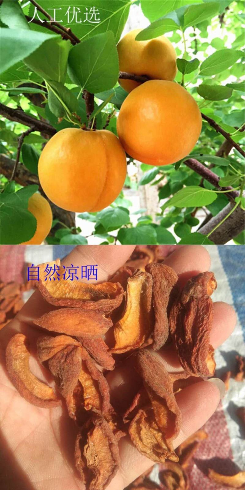 2020年杏干，口感独特，酸甜原味，请放心购买