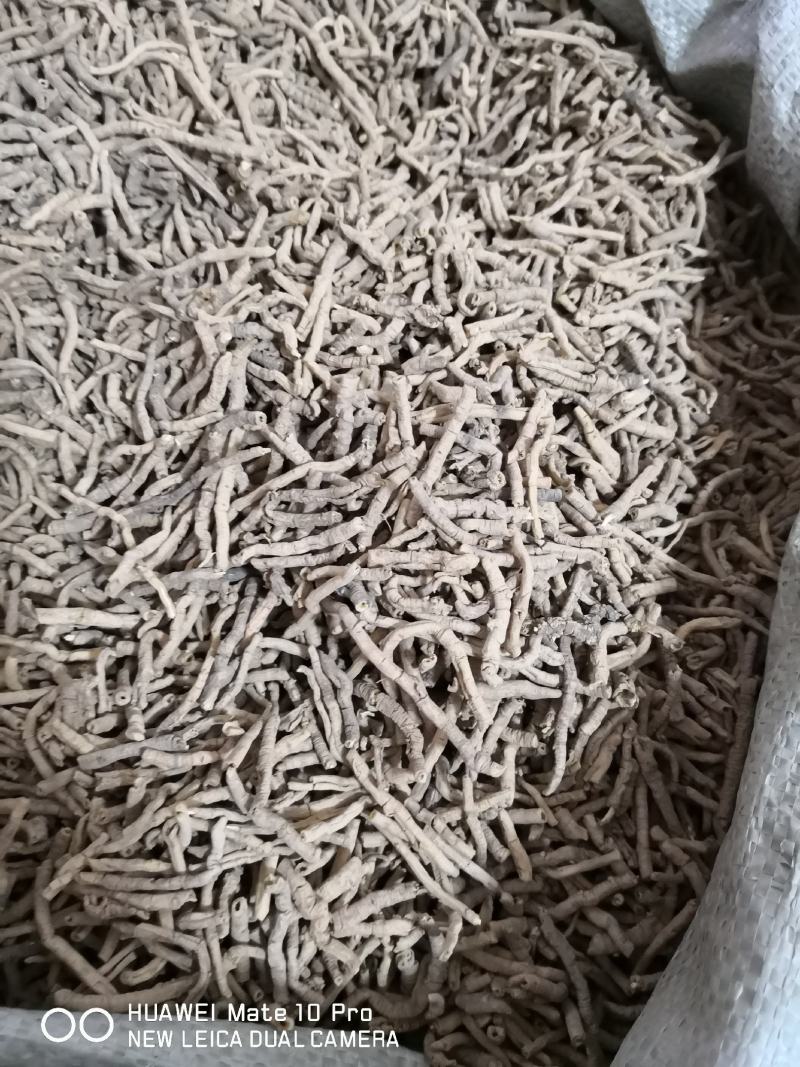 远志抽芯选货手选货干货2斤起包邮