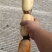 精品大白早藕价格美丽，质量有保证。每天可供货三万斤