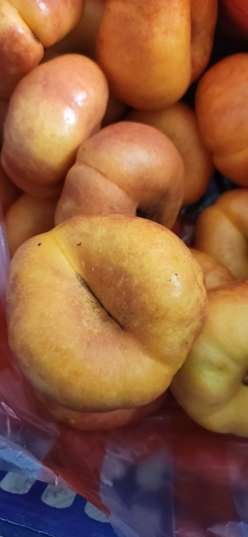 油蟠桃
