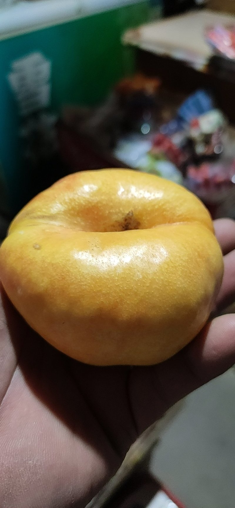油蟠桃