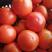 青岛莱西市大红西红柿，串果，单果上市，质量保证，货源充足