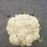新鲜散花菜，白，花型好