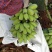 苹果粉蕉