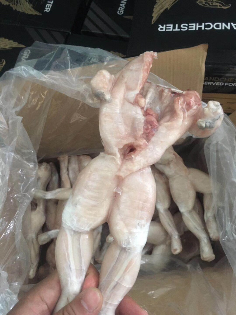 活冻高品质牛蛙解冻分量足