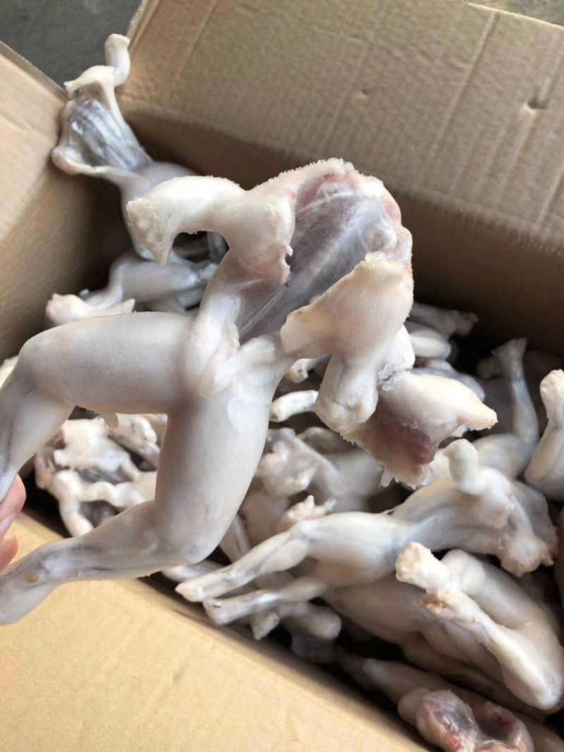 活冻高品质牛蛙解冻分量足