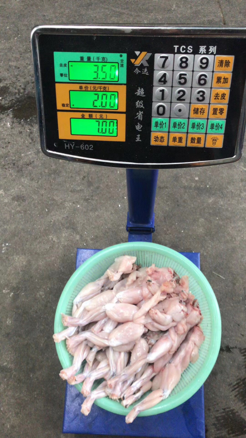 活冻高品质牛蛙解冻分量足