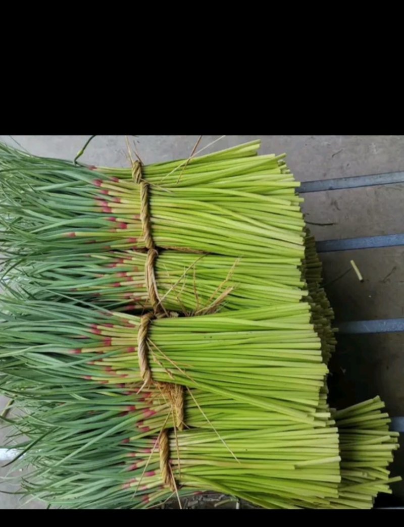 邳州精品小把薹邳州精品小把，一把一斤，一袋16斤。苔条绿