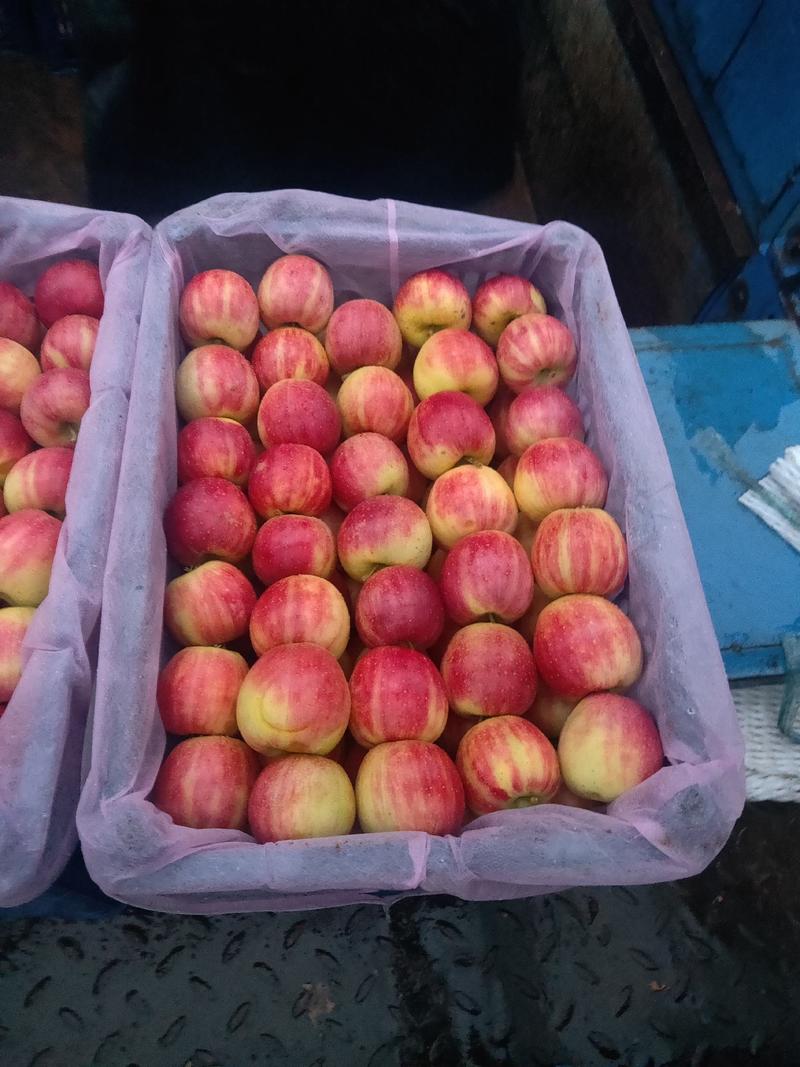 辽宁省，西丰县，双榆村123小苹果基地，口感甜脆，大量上