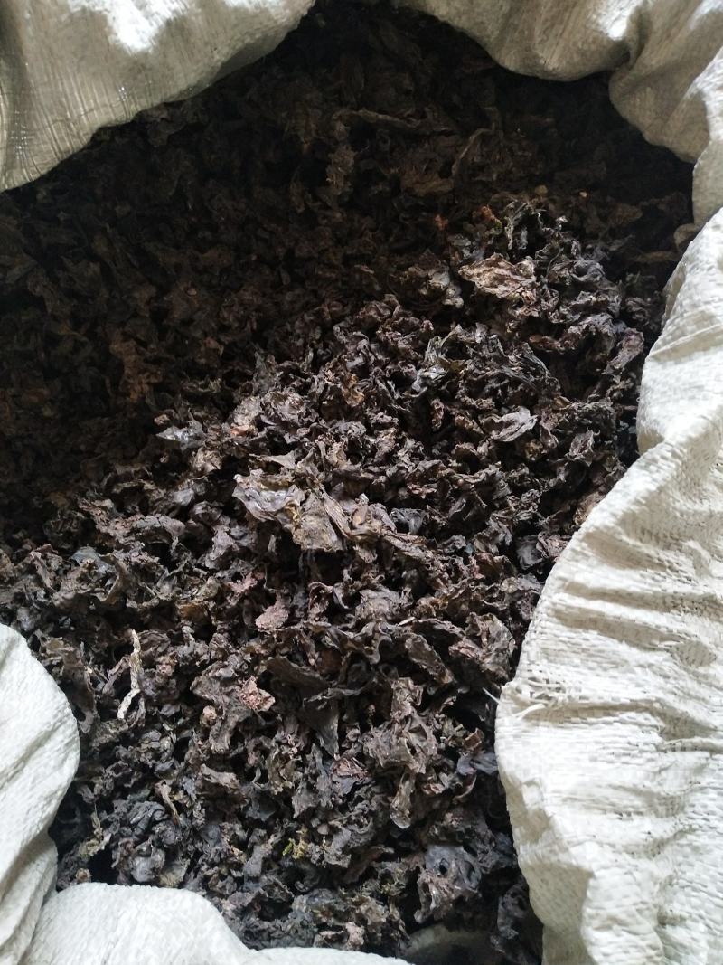农村一手货源，野生地皮菜。大朵，好洗。要好货的找我