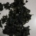 农村一手货源，野生地皮菜。大朵，好洗。要好货的找我