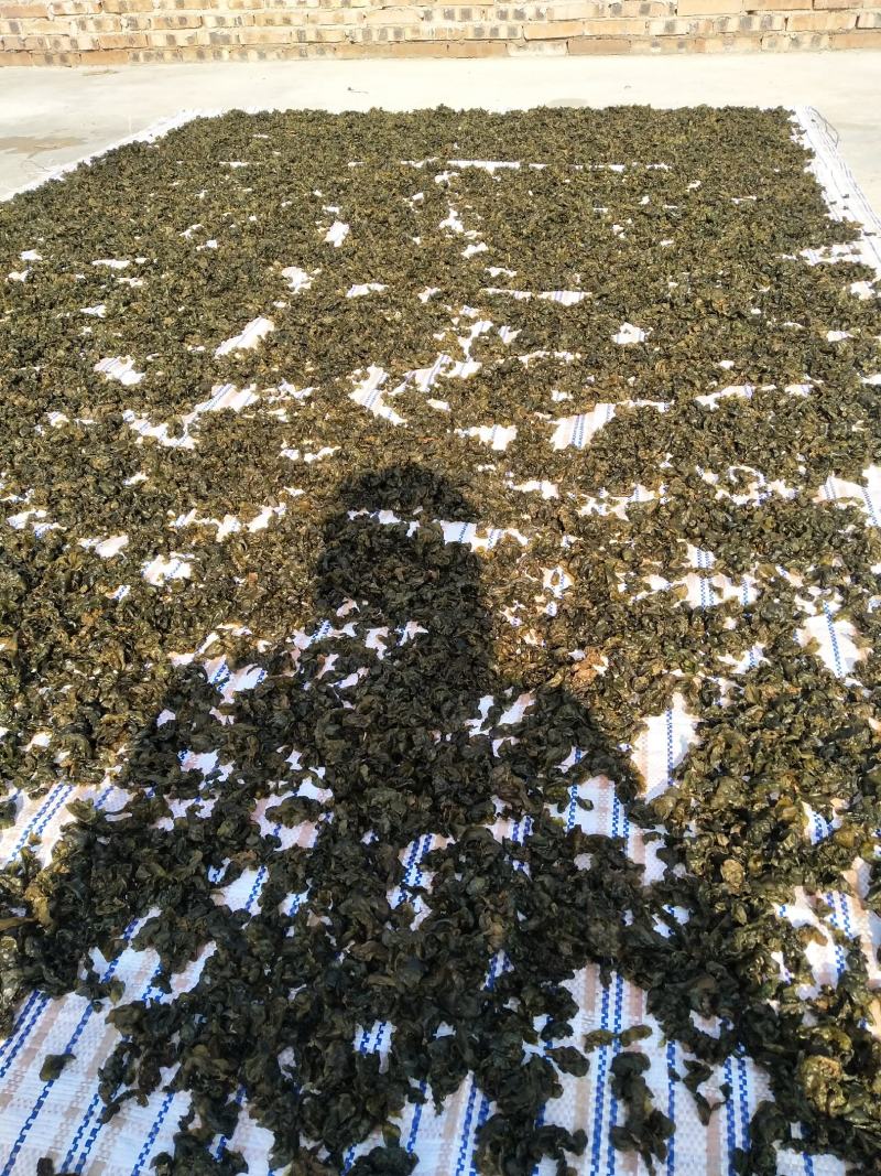 农村一手货源，野生地皮菜。大朵，好洗。要好货的找我
