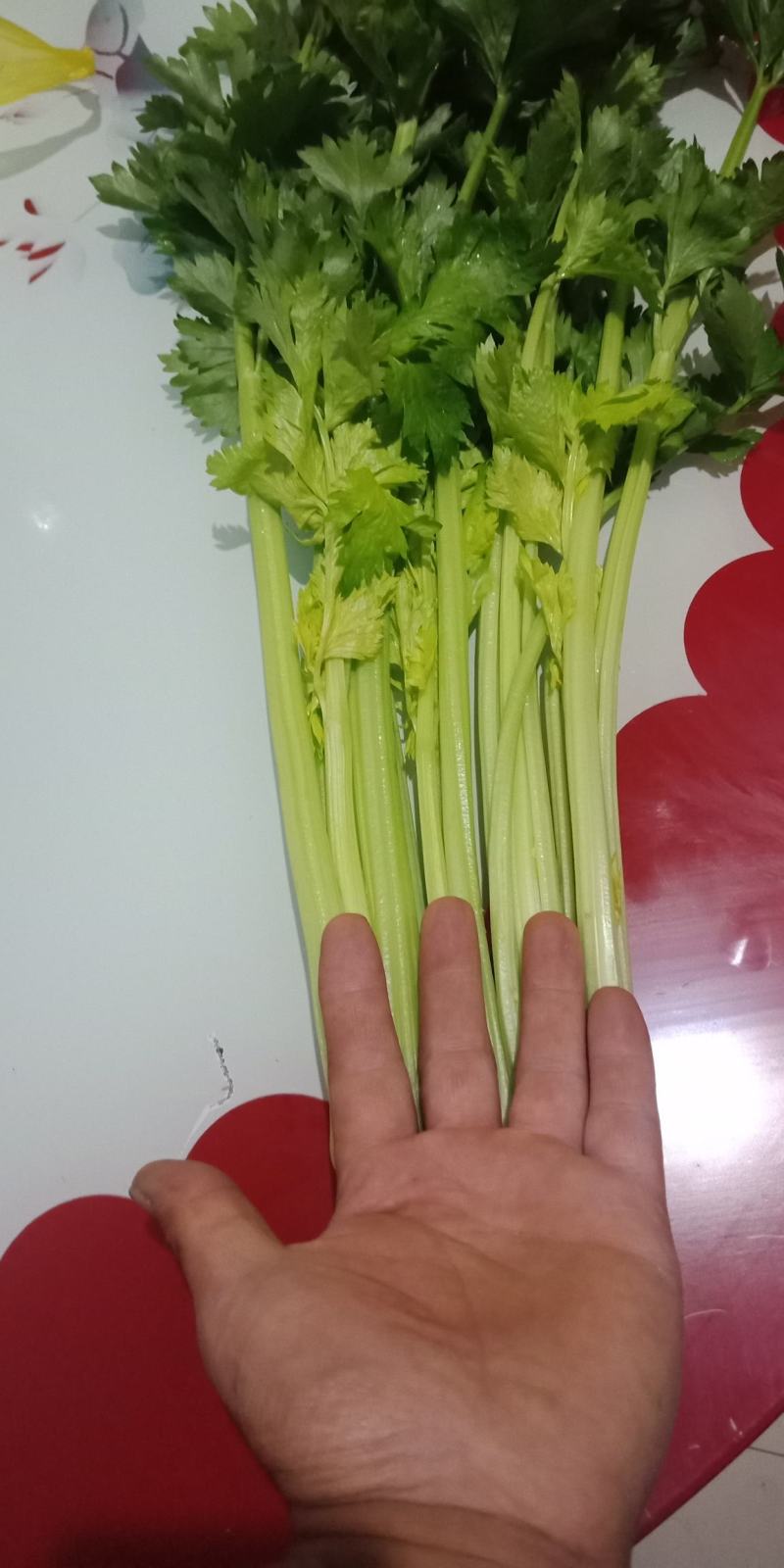 芹菜