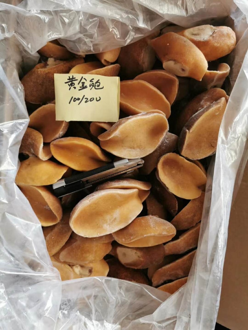 澳鲍鲜活冷冻黄金澳鲍肉，新鲜去壳，不泡药，不泡水，全国代发