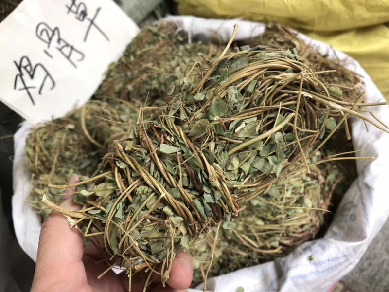 鸡骨草藤无硫广西鸡骨草光藤青绿带叶鸡骨草藤均有货