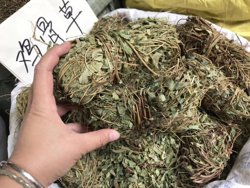 鸡骨草藤无硫广西鸡骨草光藤青绿带叶鸡骨草藤均有货