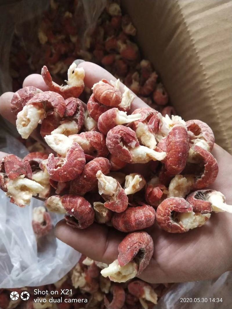干冻龙虾尾无冰衣，肉质饱满视频看货餐饮直供量大优惠