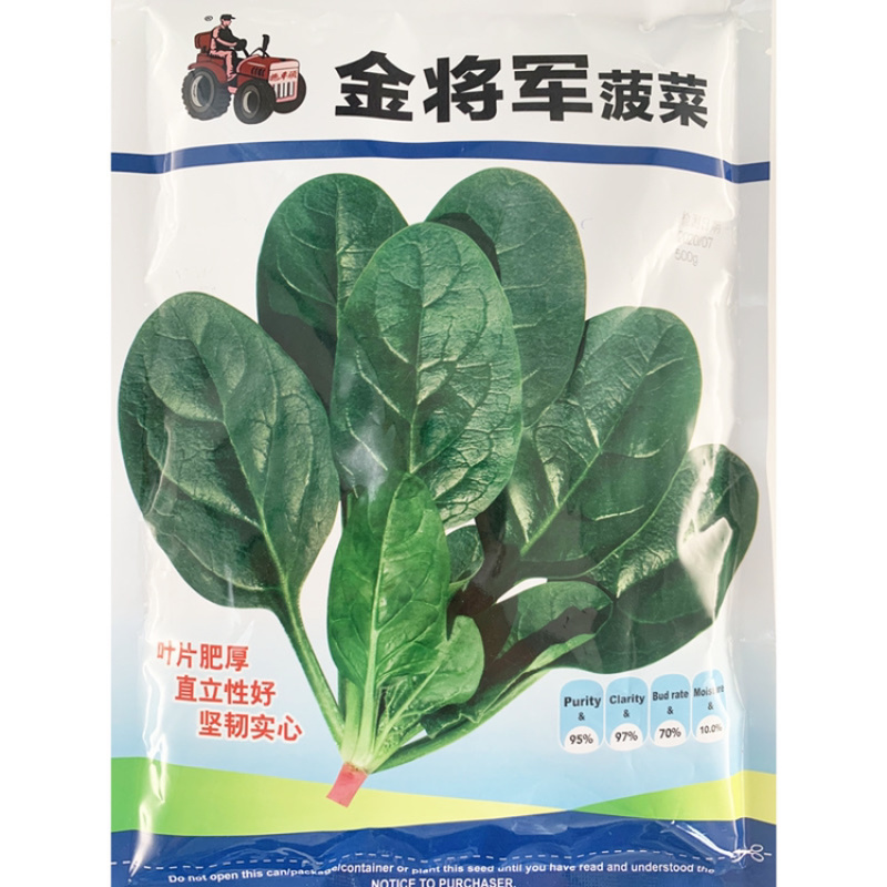 金将军春秋越冬菠菜种子黑圆叶抗病红根菠菜种子