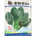 金将军春秋越冬菠菜种子黑圆叶抗病红根菠菜种子