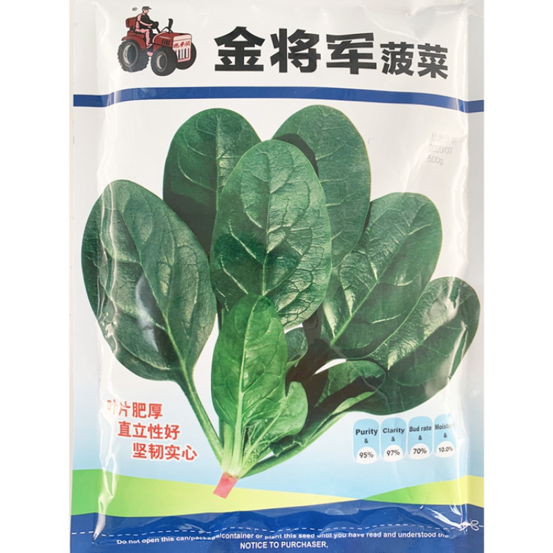 金将军春秋越冬菠菜种子黑圆叶抗病红根菠菜种子