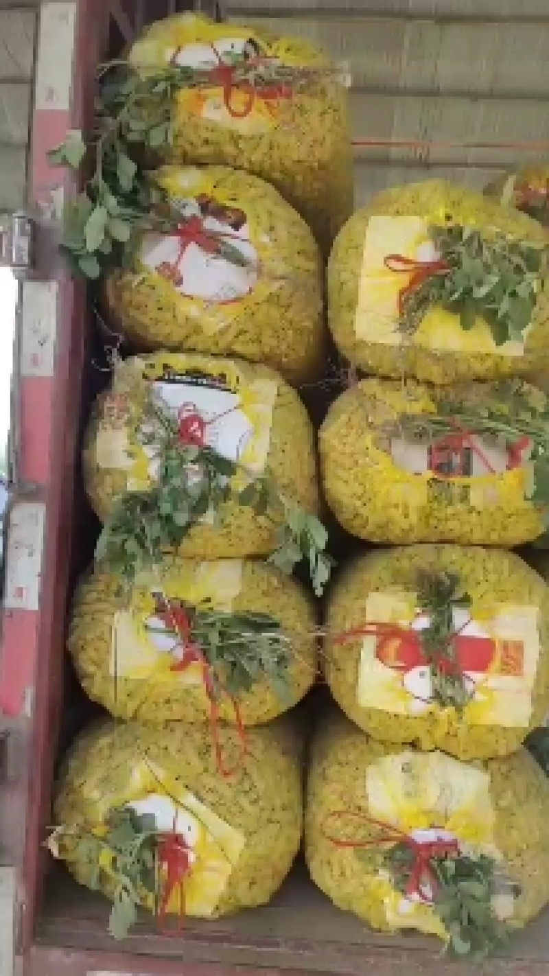 鲜花生，白沙系列，大量供应，质量保证，大吨位供应