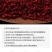 北五味子干250克东北长白山纯野生油籽泡酒中药材不染色