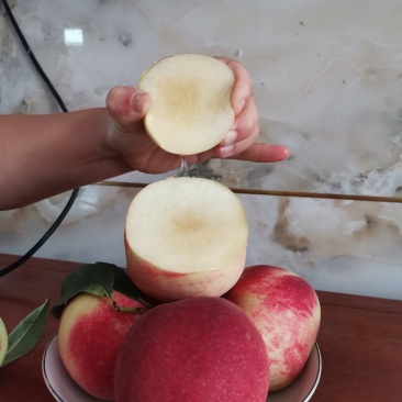 早生水蜜挑大量上市欢迎亲们来订购