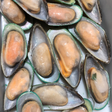 新西兰青口贝（可定制包装）