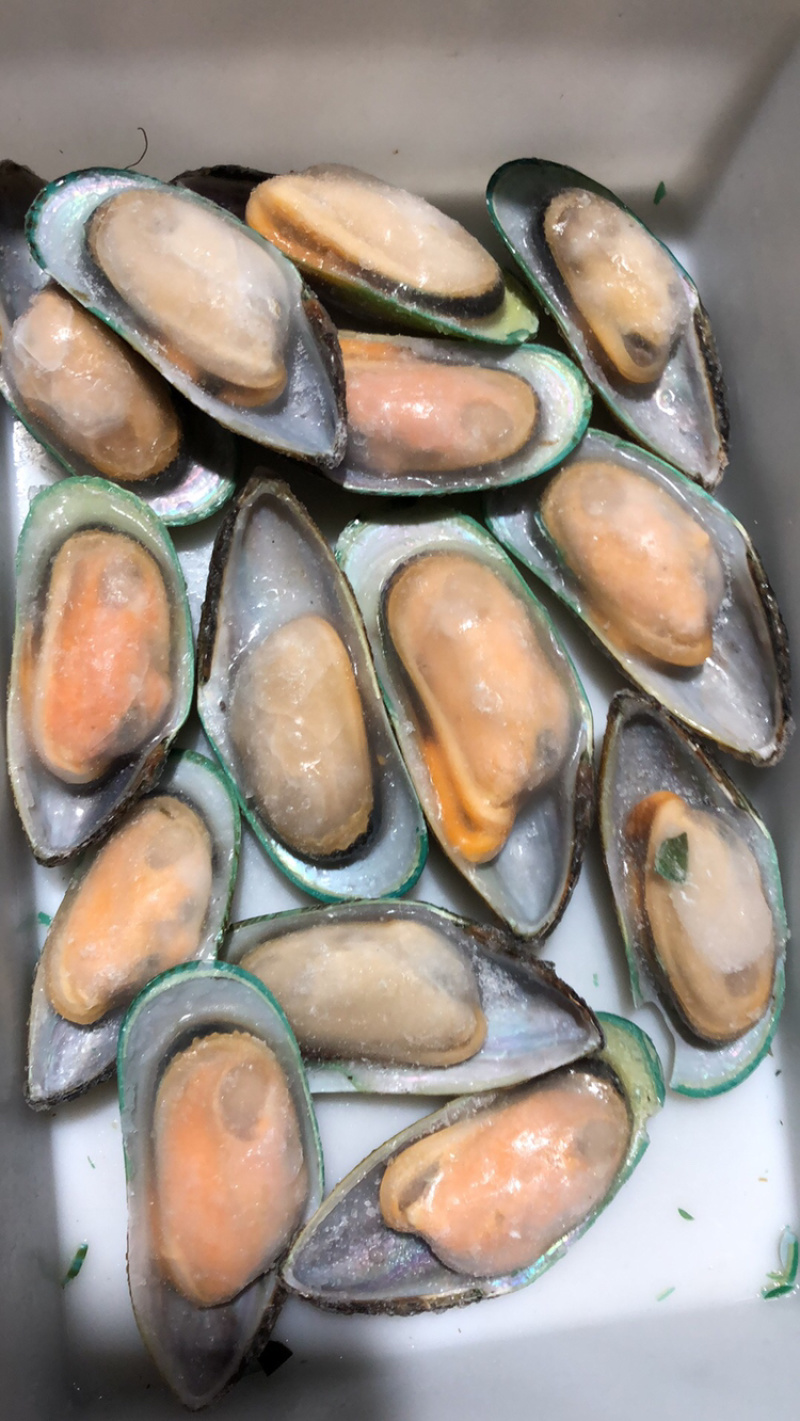 新西兰青口贝（可定制包装）