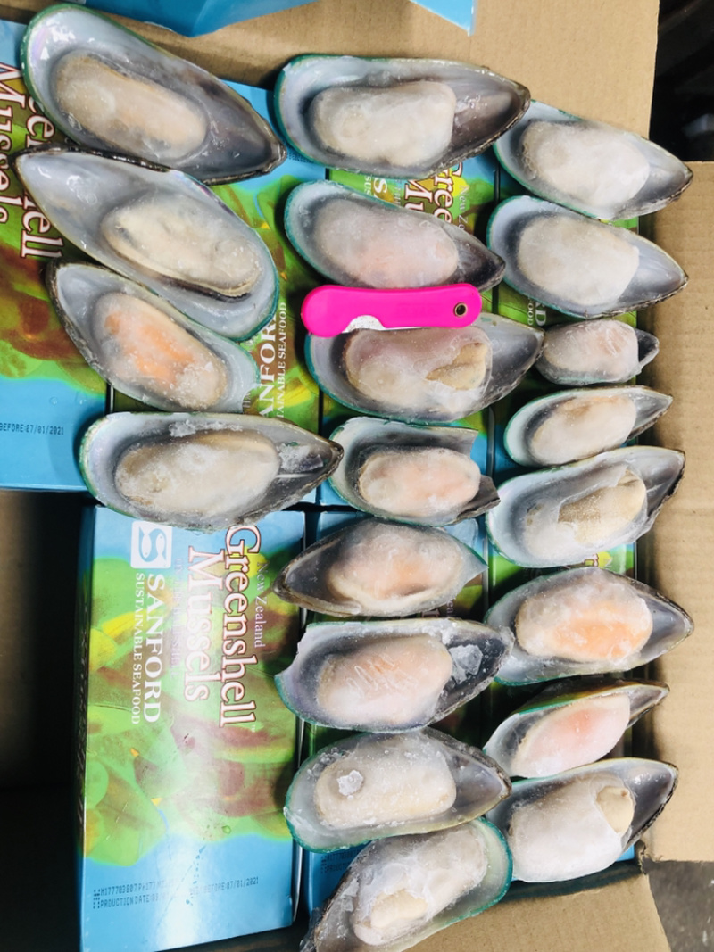 新西兰青口贝（可定制包装）