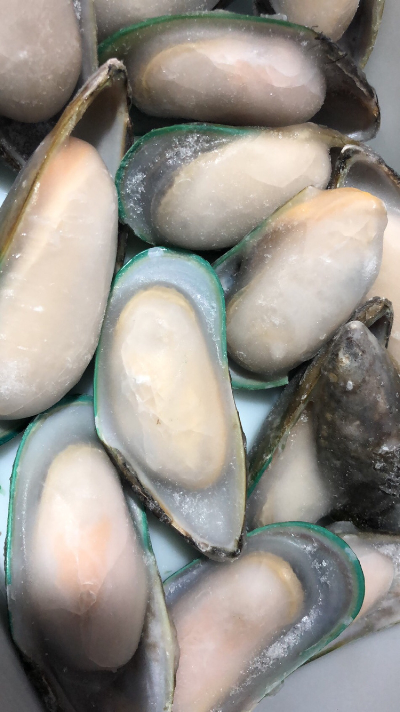 新西兰青口贝（可定制包装）