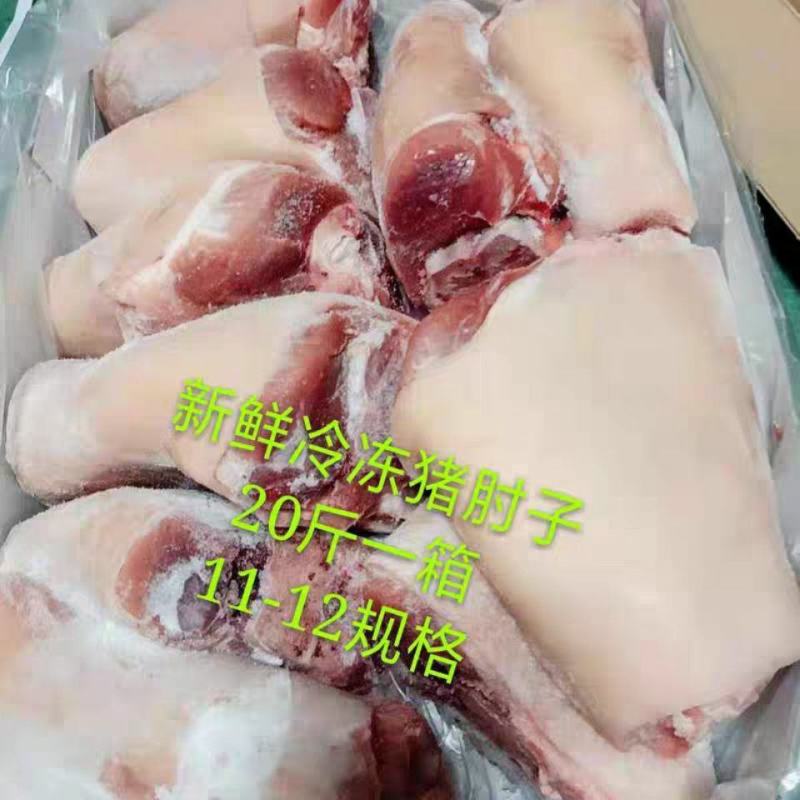 冷冻新鲜猪蹄髈、猪肘子、猪前肘子20斤一箱11-12个