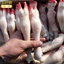 新鲜冷冻羊蹄20斤免洗羊蹄羊脚羊肉生羊蹄包