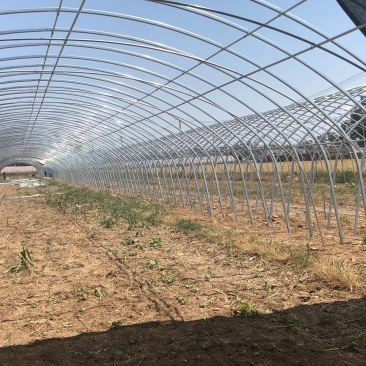椭圆管养殖大棚安装设计