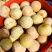 恐龙蛋李子（味道甜适合大众口味）