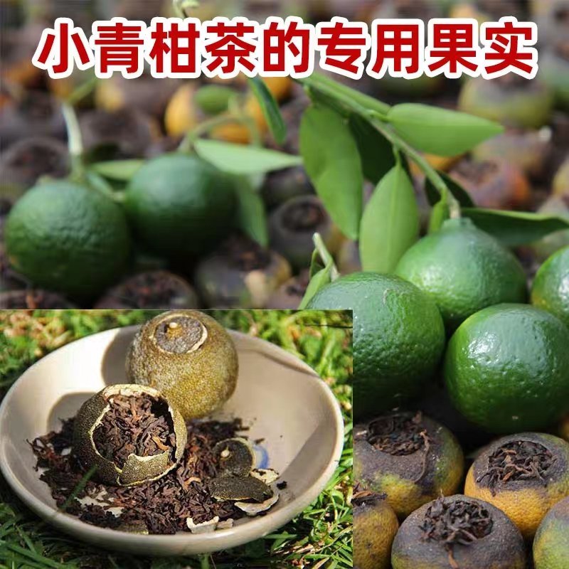正宗江门新会柑苗，苗壮果实