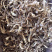 精品鹿茸菌鹿茸菇口感香脆10斤包邮