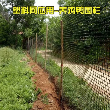 抗晒鸡鸭鹅围栏网漏粪网圈地围栏网可以用7-9年