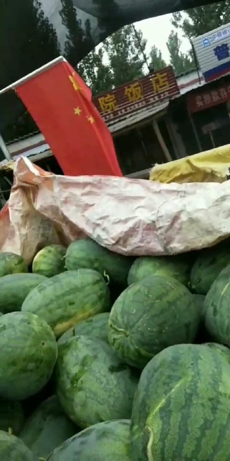 龙卷风西瓜大量上市，有需要联系