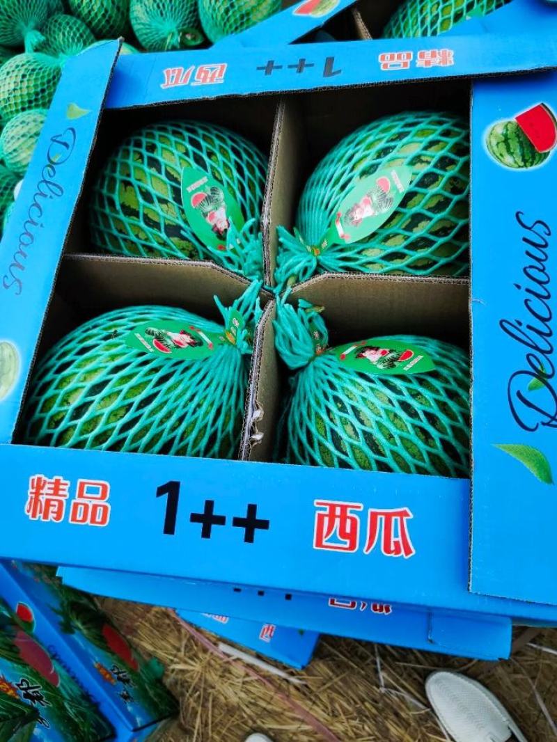 美都西瓜大量上市！