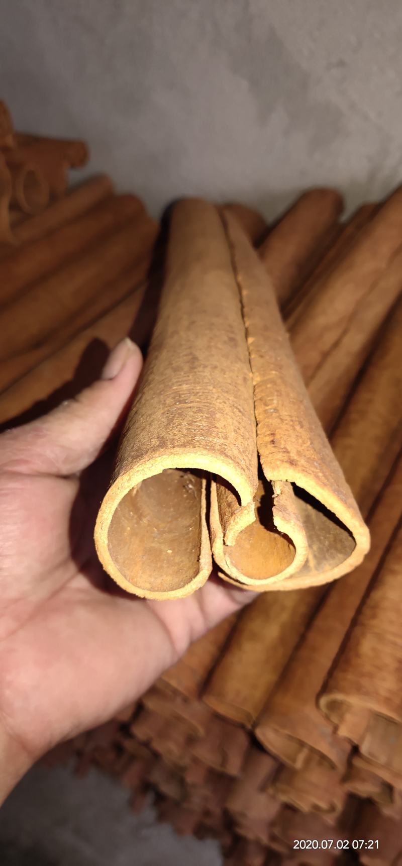 桂皮