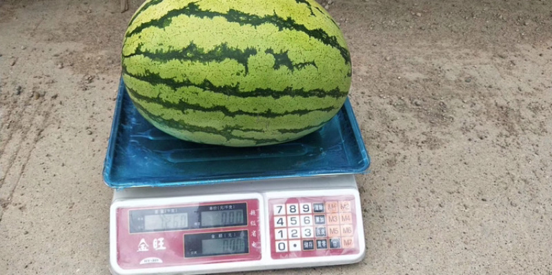 优质货源，物美价廉