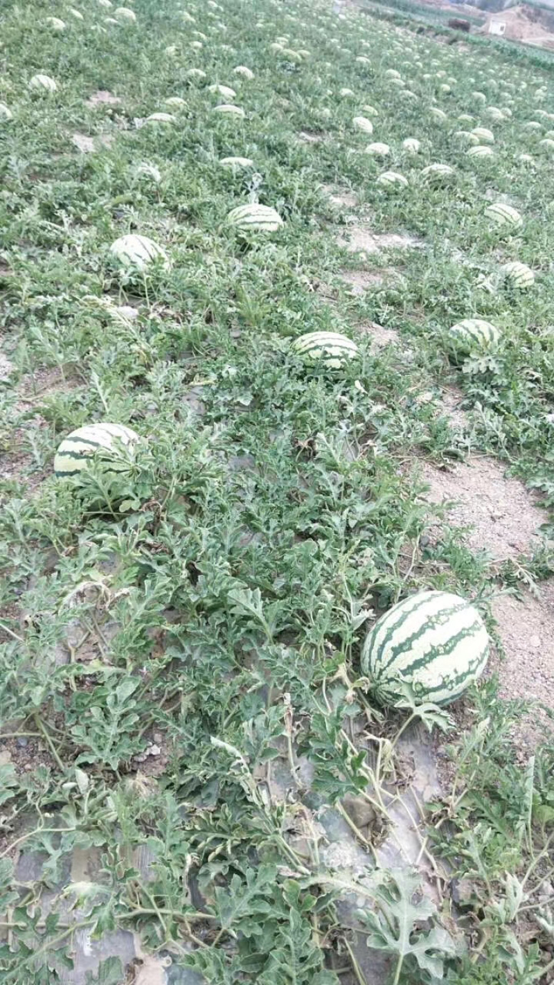 优质货源，物美价廉