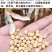 2020新豆，蛋白48，水分11产地直供支持线上保障交易