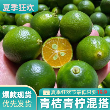 海南小金桔青桔一级果青柠混搭柑橘